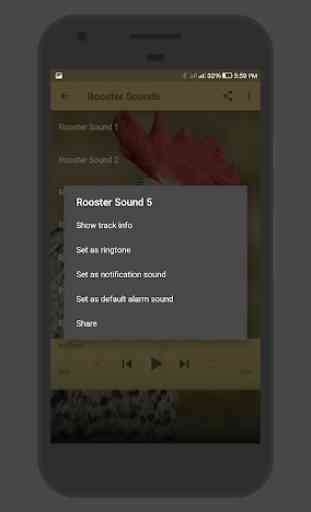 Rooster Sounds 3