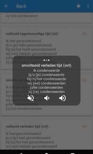 Dutch Conjugation 4