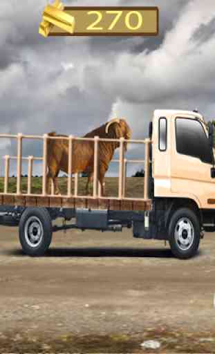 Transporte de gado selvagem 2