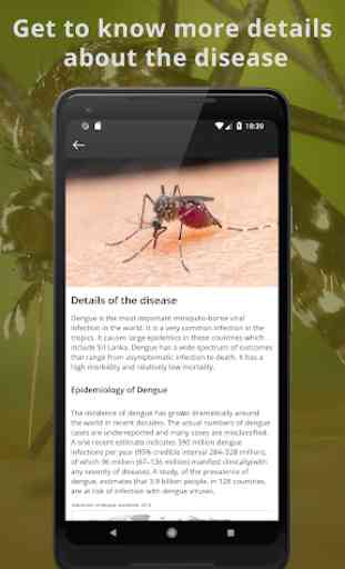 Dengue App 2