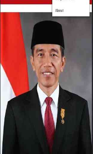 Pakde Jokowi 4
