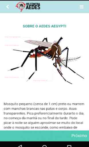 RS Contra AEDES 3