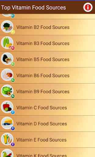 Top Vitamin rich Foods & Diets 2