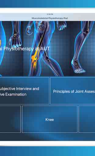Musculoskeletal Physiotherapy 4