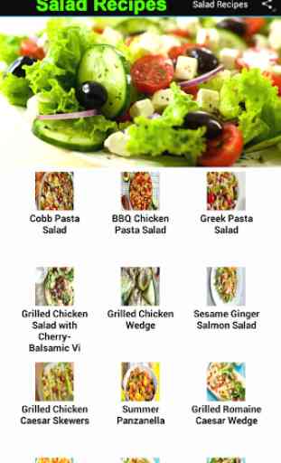 Salad Recipes 2