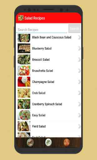 Salad Recipes Offline App 1