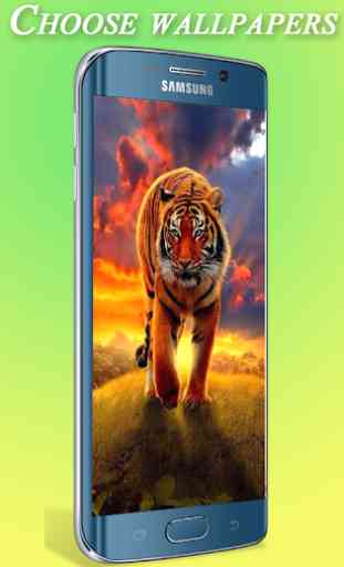 Super Tiger HD Wallpapers 1