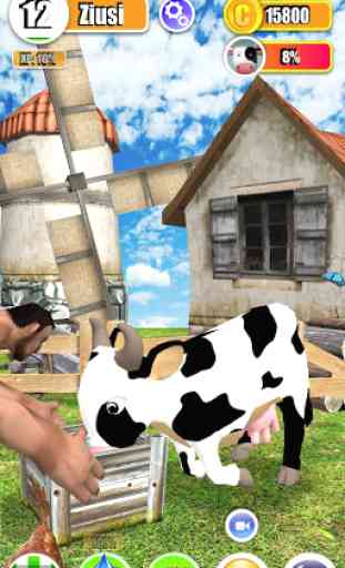 Vaca fazenda 3