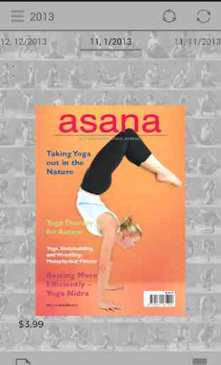 Asana Journal 2