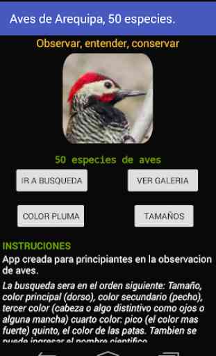 Aves de Arequipa - Peru 1