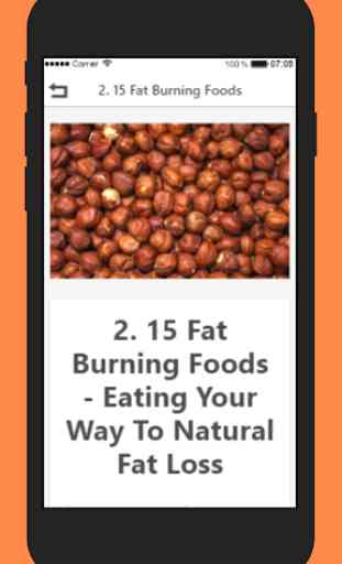 Belly Fat Burning Foods 3
