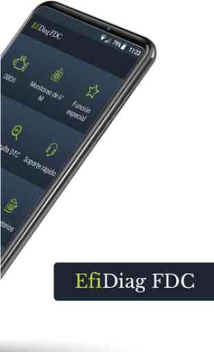 Efidiag FDC 2