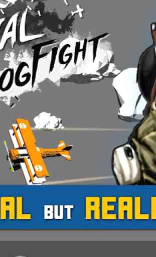 Final Dogfight 1