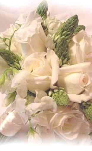 Flores de casamento 4