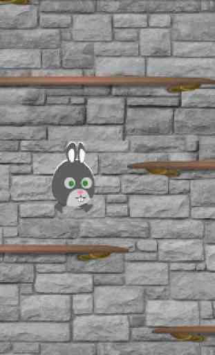 Rabbit Jump 3