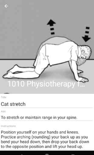 1010 Physiotherapy (for patients) 4