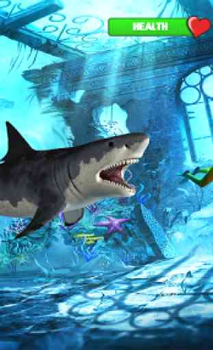 Bravo Tubarão Ataque - Selvagem Tubarão Jogo 2019 1