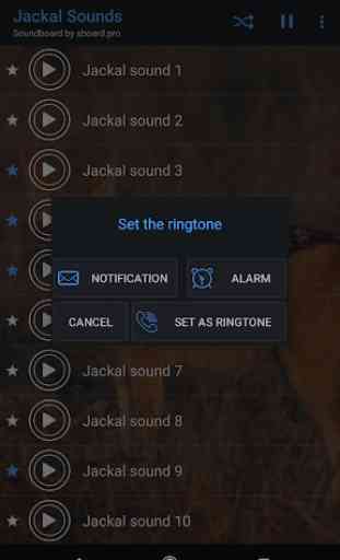 Chacal Sounds ~ Sboard.pro 4