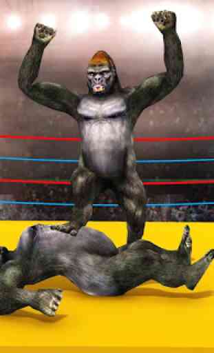 Gorilla Ring Jogo de Boxe 1