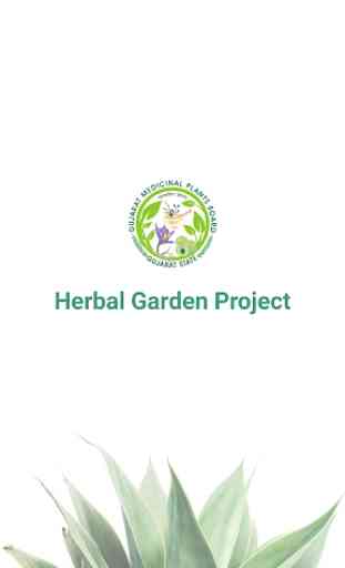 Herbal Garden Project 1
