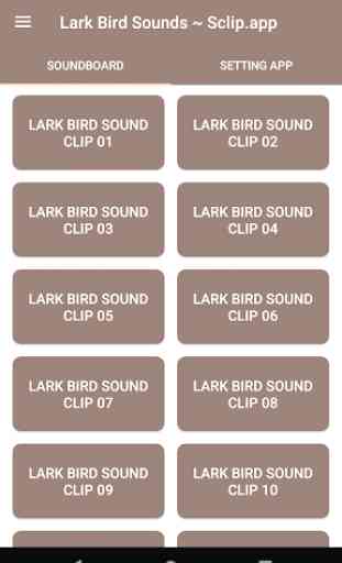 Lark pássaro Sounds ~ Sclip.app 1