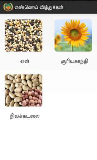 Oilseeds Tamil 2