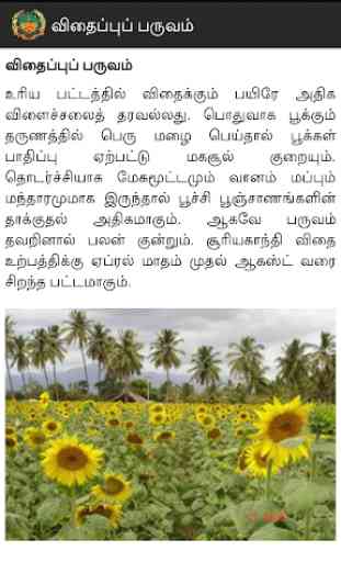 Oilseeds Tamil 4