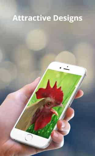 Rooster sounds and Ringtones 1