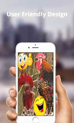 Rooster sounds and Ringtones 3