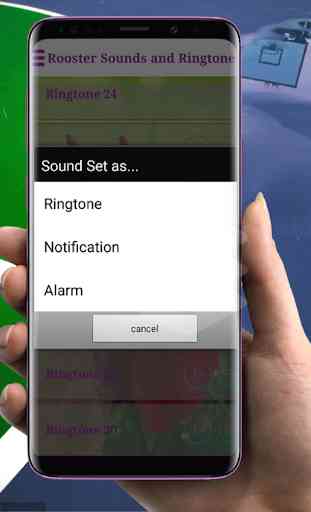 Rooster sounds and Ringtones 4