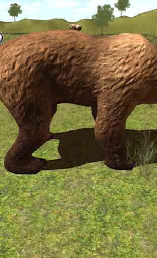 Urso caça mania 1
