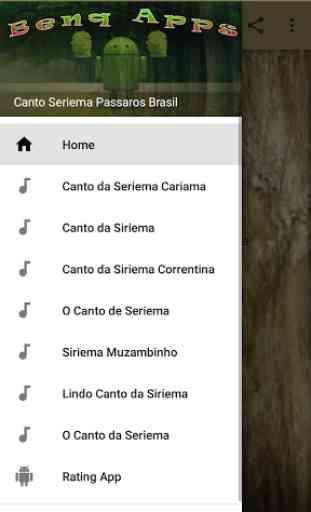 Canto Seriema Passaros Brasil 1