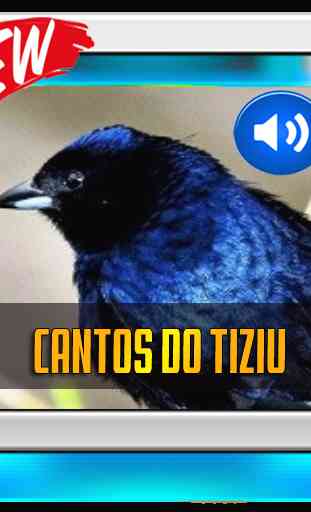 Cantos Do Tiziu 2019 1