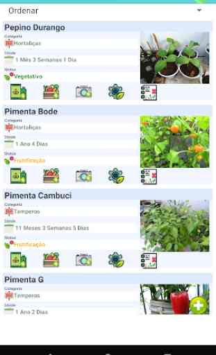 Diário de Cultivo - Horta Pomar Jardim Plantas 1