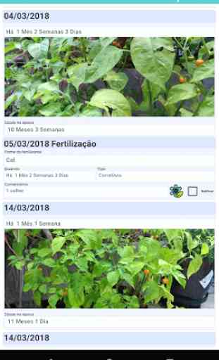 Diário de Cultivo - Horta Pomar Jardim Plantas 3