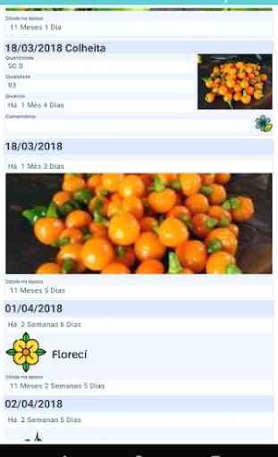 Diário de Cultivo - Horta Pomar Jardim Plantas 4