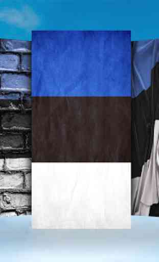 Estonia Flag Wallpaper 2