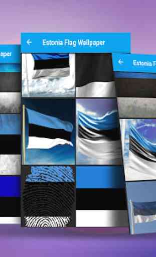 Estonia Flag Wallpaper 3