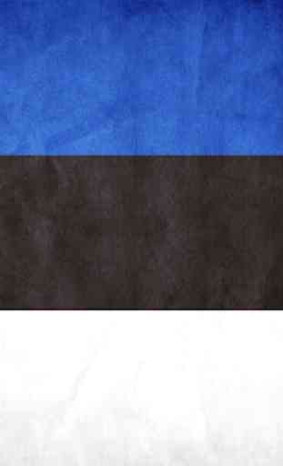 Estonia Flag Wallpaper 4