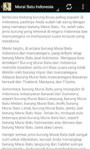 Kicau Murai IndoMlay 3