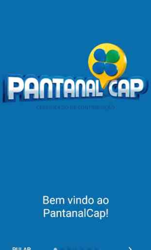 Pantanal Cap Certificado de Contribuição 2