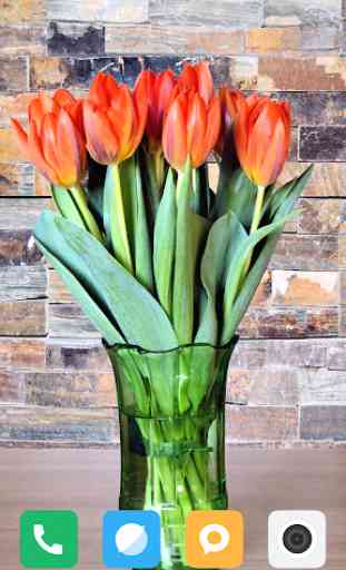 Tulips Flower Wallpapers 1