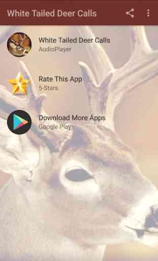 Whitetail Deer Calls That Work 1