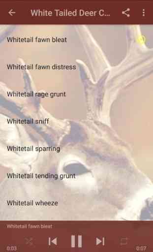 Whitetail Deer Calls That Work 4
