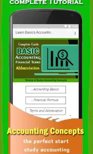 Basics Accounting Concepts and Terms 1