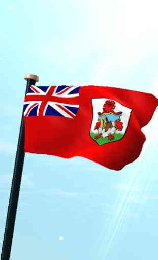 Bermudas Bandeira 3D Gratuito 1