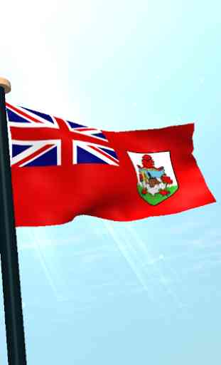 Bermudas Bandeira 3D Gratuito 4