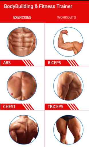 BodyBuilding & Fitness Workout 1