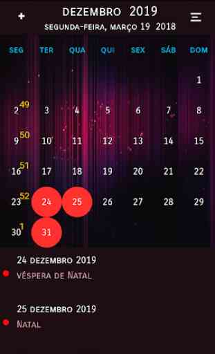 Calendário Brasil 2020 4