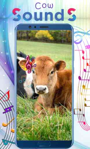 Cow Sounds 4
